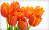 Ranchview Floral Coupons Overland Park, Kansas Deals