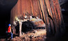 River and Earth Adventures Coupons Elizabethton, Tennessee Deals