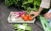 Garden Inspirations Coupons Waxahachie, Texas Deals