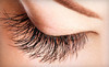 Spa on the Square Coupons Southlake, Texas Deals