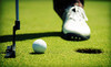 Robert Jan Golf Coupons Northbrook, Illinois Deals