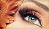 Astute Artistry Coupons Livonia, Michigan Deals