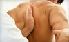 Cornerstone Spinal Care Coupons Milpitas, California Deals
