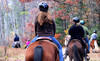 Cornerstone Ranch Coupons Princeton, Massachusetts Deals