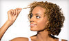 Kennedy Salon & Day Spa Coupons Tampa, Florida Deals