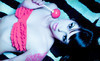 Revolution Studios Coupons Cary, North Carolina Deals