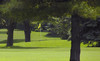 Sycamore Golf Club Coupons Sycamore, Illinois Deals