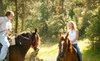 Equine Boulevard Coupons Agawam, Massachusetts Deals
