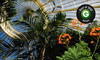 Buffalo Botanical Gardens Coupons Buffalo, New York Deals