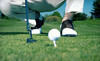 The Range Coupons Cleveland, Ohio Deals