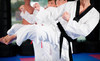 K. S. Lee's Best Martial Arts Coupons Cary, North Carolina Deals
