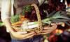 Fresh City Farms Coupons Toronto, Ontario Deals
