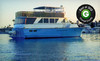Newport Fun Tours Coupons Newport Beach, California Deals