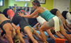 Dancing Dogs Yoga Coupons Hilton Head Island, South Carolina Deals