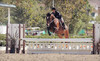 Vogel Equine Coupons Costa Mesa, California Deals