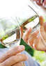 Chateau Niagara Winery Coupons Newfane, NY Deals