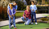 Adventure Landing Coupons Tonawanda, New York Deals
