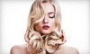 Shear Delight by Jess Coupons Spring, Texas Deals