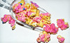 Jolly Time Koated Kernels Coupons Sioux City, Iowa Deals