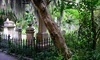 Old Charleston Walking Tours Coupons Charleston, South Carolina Deals