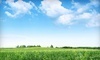 Advanced Allergy Solutions Coupons San Francisco, California Deals
