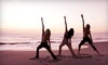 Beach Yoga Pinellas Coupons St. Petersburg, Florida Deals