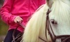 Grandview Farm Coupons Dighton, Massachusetts Deals