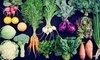 Johnson's Backyard Garden Coupons Dallas, Texas Deals