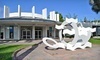 Lowe Art Museum and Coral Gables Museum Coupons Coral Gables, Florida Deals