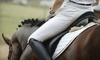 Majestic Stables Coupons Clermont, Florida Deals