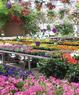 Meder's Home And Garden Coupons Pleasant Hills, PA Deals