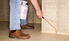 Horizons Professional Pest Control Coupons  Deals