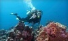 My Dive Center Coupons Markham, Ontario Deals