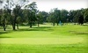 Lincoln Oaks Golf Course Coupons Crete, Illinois Deals