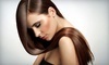 Chicka's Hair Salon Coupons Hiaelah, Florida Deals