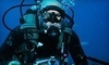 Jupiter Dive Center Coupons Jupiter, Florida Deals