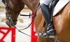 Elite Stables Coupons Chagrin Falls, Ohio Deals