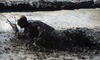 The Hog Wild Mud Run Coupons Wesley Chapel, Florida Deals