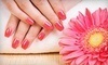 Salon Sophia Coupons Downers Grove, Illinois Deals
