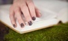 Nails by Tami Coupons Danville, California Deals