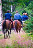Horseback Trail Ride + Lunch + Drinks: LivingSocial Original Coupons Chicago, IL Deals