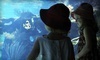 Idaho Public Aquarium Coupons Boise, Idaho Deals