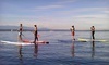 Washington Surf Academy Coupons Seattle, Washington Deals