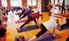 YogAsylum Coupons Brookfield, Wisconsin Deals