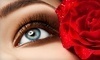 Bliss Spa Coupons Issaquah, Washington Deals