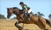 Zia Ranch Horsemanship Program Coupons Brentwood, California Deals