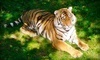 Bowmanville Zoo Coupons East Bowmanville, Ontario Deals