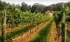 Morgan Ridge Vineyards Coupons Gold Hill, North Carolina Deals