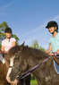 Becky Botsford Show Horses Coupons Sparta, MI Deals
