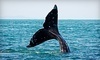Harbor Breeze Cruises Coupons Long Beach, California Deals